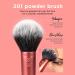 Real Techniques Artist Essentials - 120g Powder Makeup Brushes Bundle | Quality Brushes for Flawless Application - International Shipping Available - Buy Online on GoSupps.com