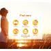 360 St. John's Wort Capsules - 1000mg Johanniskraut Extract with GABA & L-Tryptophan | High-Dose Plant-Based Mood Support - Buy Online on GoSupps.com