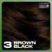 Clairol Natural Instincts Demi-Permanent Hair Dye 3 Brown Black 3-Pack - 3 Brown Black 1 Fl Oz - Buy Online on GoSupps.com