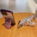 Shop Tivenfezk Nadoli for Samsung Galaxy S22 - Glitter Rabbit Stand Soft Silicone Case | Stylish Transparent Protective Cover - Buy Online on GoSupps.com