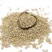 Thames Organic Organic Haricot Beans 500g - High Fibre & Protein, Raw, Vegan, GMO-Free - Nutritious & Flavorful - Ideal for Soups & Salads - Buy Online on GoSupps.com