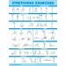 Palace Learning 3 Pack Kettlebell Workouts Volume 1 & 2 + Stretching Exercises Poster Set - 3 Workout Charts - LAMINATED 18 x 24 - Buy Online on GoSupps.com