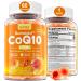 Sugar-Free CoQ10-250mg Filled Gummies - 2 Months Supply - Plus Omega-3 Vitamin B3 & Zinc High Absorption Coenzyme Q10 Supplements for Heart Health Cellular Energy & Antioxidant Support Vegan 60Cts 60 Count (Pack of 1)