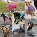 Shop Hualisiji Dog Sweater for Small Dogs | Warm Lightweight Hoodie with Soft Texture - Purple Size S - Buy Online on GoSupps.com