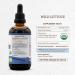 Secrets of the Tribe Wild Lettuce Tincture - Alcohol-Free High-Potency Herbal Drops USDA Organic Lactuca virosa - 4 oz (2 Pack) - International Shipping Available - Buy Online on GoSupps.com