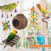 Erkoon Bird Toys for Parrots | Wooden Hanging Bells Hammocks & Rocking Toys - Perfect for Small Birds - Buy Online on GoSupps.com