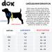 DDOXX Nylon Step-In Dog Harness - Adjustable XS Puppy Harness (Blue) - Perfect Fit for All Sizes - 1.0 x 32-44 cm - International Shipping Available - Buy Online on GoSupps.com