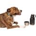 RUFF PUPS 32oz Stainless Steel Dog Water Bottle with Attached Bowls - Vacuum Insulated, Leak Proof for Travel & Outdoor Activities - Buy Online on GoSupps.com