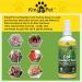 KinderPet Eco Cat Repellent Anti Fouling Spray Stop Cats Deterrent Stops Fouling Digging Scratching Christmas Tree Stop Cat Natural Humane Citrus Spray 250ml - Buy Online on GoSupps.com