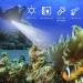 5000 Lumen XHP70 LED Scuba Diving Flashlight | Super Bright Military Torch | IPX6 Waterproof Submarine Light - Buy Online on GoSupps.com