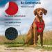 Buy Funfox No Pull Dog Harness for Small Dogs - Adjustable & Breathable Red Puppy Harness | Anti-Zug Safety for Small & Medium Dogs - Buy Online on GoSupps.com