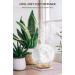 MEIDI Essential Oil Diffuser - Remote Controlled Aromatherapy Moon Lamp with Cool Mist Humidifier - Buy Online on GoSupps.com