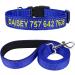 Tagme dog collar and leash personalizing reflective dog collar with 1.5m double -sided reflective dog leash for large dogs royal blue l (1 Pack) royal blue set
