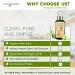 Buy Swiss Apple Stem Cell Serum - Anti-Aging Face Serum with Growth Factors Hyaluronic Acid & Aloe Vera for Plump Skin & Reduced Fine Lines - Buy Online on GoSupps.com