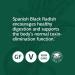 Standard Process Spanish Black Radish Whole Food Detox Digestive Health Gallbladder Support with Honey and Vitamin C - Vegetarian Gluten Free - 90 Tablets - 4.16 Oz - Buy Online on GoSupps.com