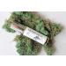 Herb & Root 3 Pc Mini Variety Perfume Set for Women or Men Unisex Aromatherapy Oils Roll Ons Floral Gourmand Woods Earthy Aromatic Citrus (Woods) - Buy Online on GoSupps.com