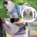Kitten Harness and Lead Set Kitten Harness Cat Harness Cat Leash for Walking Escape Proof Puppy Kitten Vest Harnesses for Small Dogs Animals Rabbit/Mouse/Cats Cat Collar XS Grey - Buy Online on GoSupps.com