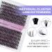 DIY Lash Extensions Set - Cluster Lashes & Eyeholder - DIY Eyelash Bond & Seal Kit (3D+40D-D CURL 12-16mm) for At-Home Application | International Shipping Available - Buy Online on GoSupps.com