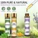 Aoruilia 6 x 10ml Essential Oils for Diffuser for Home 100% Pure Aromatherapy Oil for Sleep Cleaning Skin Care Candle Making - Tea Tree Lavender Peppermint Sweet Orange Lemongrass Eucalyptus Top 6 60 ml (Pack of 1) - Buy Online on GoSupps.com