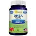 DHEA (100mg Max Strength, 200 Capsules) to Promote Balanced Hormone Levels for Women & Men - Natural DHEA Supplement Pills to Support Healthy Metabolism, Libio, Brain, Immune Function & Pure Energy