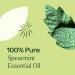 Plant Therapy Spearmint Essential Oil 100 mL (3.3 oz) 100% Pure Undiluted Digestive Health Fresh Scent Tension Relief - Buy Online on GoSupps.com