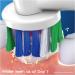 Oral-B Pro 1 Electric Toothbrush for Adults with Pressure Sensor - Christmas Gifts - 3 Piece Set (1 Handle, 1 Head, 1 Mode) - 3D Cleaning - Blue/White - UK Plug - Buy Online on GoSupps.com