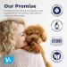 Buy Vetnique Labs Profivex Probiotics for Dogs - All Natural Digestive Health Chews & Powder (8.5oz) - 5 Probiotic Strains & Prebiotics - Buy Online on GoSupps.com