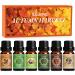 SALKING Autumn Fragrance Oils Premium Fall Essential Oils for Diffuser Scented Oils Gift Set for Soap Candle Making Scents - Cinnamon Pumpkin Spice Apple Cider Vanilla Forest Pine Snickerdoodle