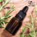 Buy Year of Plenty Glass Eye Droppers | 12-Pack for 5ml Essential Oil Bottles | Compatible with doTERRA Young Living & More | Fast International Shipping - Buy Online on GoSupps.com