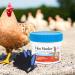 Hen Healer Poultry Supplement - All-Natural Vitamins for Immune Health & Feather Growth | Includes Pet Hair Removing Glove & Healing Ointment | Bundle Pack of 2 - Buy Online on GoSupps.com