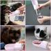 Edoxus Multifunctional Dog Water Bottle - Portable Drinking Bottle for Dogs & Cats - Ideal for Hiking (Gray) - Buy Online on GoSupps.com