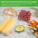 GERYON Automatic Vacuum Sealer Machine | Detachable Design | LED Indicator Lights | Dry & Moist Food Modes | Compact Design | Starter Kit Included (Silver) - Buy Online on GoSupps.com