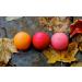 EOS Limited Edition Lip Balm Trio - Rachel Roy Edition | International Shipping Available - Buy Online on GoSupps.com