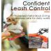 ThinkPet Reflective Air Mesh Vest Leash Set for Small Medium Dogs - Neon Orange - Buy Online on GoSupps.com