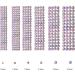 Jollin 3456pcs Flatback Rhinestones Glass Charms Diamantes Gems Stones for Nail Art 6 Size ss4 ss12 Transparent AB - Buy Online on GoSupps.com