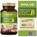 oppuland Vitamin B Complex-Vitamin B Supplement-Promotes Immune Health-60 Veggie Capsules
