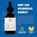 Kids Ashwagandha Drops by Ayush Herbs - 100% Natural Ayurvedic Supplement - 2 Ounces - Buy Online on GoSupps.com