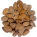 Almond Roasted salted NUTLY (460) 460.0 grams - Buy Online on GoSupps.com