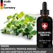 Premium Liquid Chlorophyll from Alfalfa - 100ml | 200mg Daily Dose Drops - Natural Alternative to Tablets - Buy Online on GoSupps.com