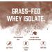 BioSteel Whey Protein Isolate Powder (Chocolate) + Shaker Cup with Wire Whisk Blender Ball - Buy Online on GoSupps.com