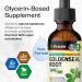 BIO KRAUTER Goldenseal Root - Pure Vegan Goldenseal Tincture 670mg per Serving 2 Fl.Oz 28-Day Supply - Immune & Respiratory Support - Liquid Golden Seal for Digestive Support - Alcohol & Sugar Free 2 Fl Oz (Pack of 1) - Buy Online on GoSupps.com