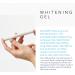 Alpine White Whitening Gel | Professional Tooth Bleaching for Visibly White Teeth in 3 Days - Dentist Approved | Fast 15-Minute Application - Buy Online on GoSupps.com