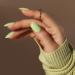 BLUESKY Gel Nail Polish Benefit Of The Doubt SS2303 Pale Green Long Lasting Chip Resistant 5 ml Requires Drying Under UV LED Lamp Pale Green 5 ml (Pack of 1) - Buy Online on GoSupps.com