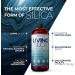Orgono Living Silica Collagen Booster 33.85 fl oz - Silicium Laboratories | Ultimate Skin & Joint Support - Buy Online on GoSupps.com