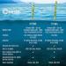 DiveSafe 7ft Delayed Surface Marker Buoy - High Visibility with Strobe Light, ABS Finger Reel, Whistle - Yellow - Buy Online on GoSupps.com