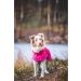 Rukka Pets HASE Raincoat for Dogs - Raspberry | Waterproof Pet Apparel | International Shipping - Buy Online on GoSupps.com