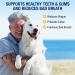 ProDen Plaque Off Animal - 180g for Dogs & Cats | Dental Care Supplement | International Shipping Available - Buy Online on GoSupps.com