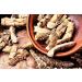 Calamus Rhizome Tea | Acorus Calamus | Acore Odorant Rhizome Health Embassy (50g) - Buy Online on GoSupps.com