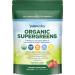 Paleovalley Organic Supergreens - Organic Greens Powder Superfood for Immune Support - Paleo Green Powder Blend - 28 Servings - 23 Organic Superfoods - Gluten Free, No Cereal Grasses, Soy or Grains 28 Servings (Pack of 1)