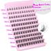 Buy LVMixWig 120 PCs Manga Lashes - DIY Egg Linen Eyelash Extensions 8-16mm - Cluster Fake Eyelashes for Home Use - International Shipping Available - Buy Online on GoSupps.com
